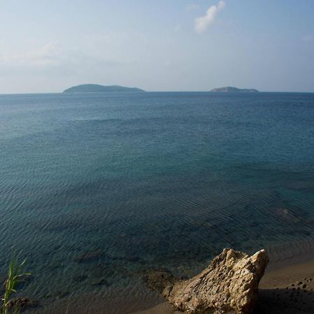 Aphrodite Skiathos Megali Ammos  Esterno foto