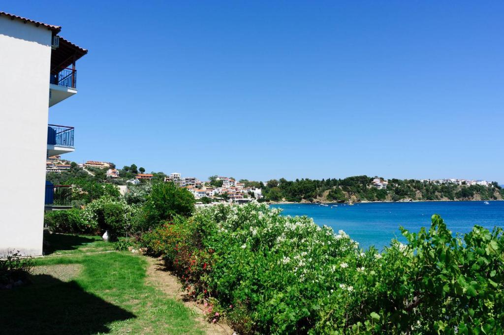 Aphrodite Skiathos Megali Ammos  Esterno foto