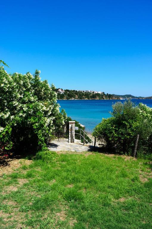 Aphrodite Skiathos Megali Ammos  Esterno foto