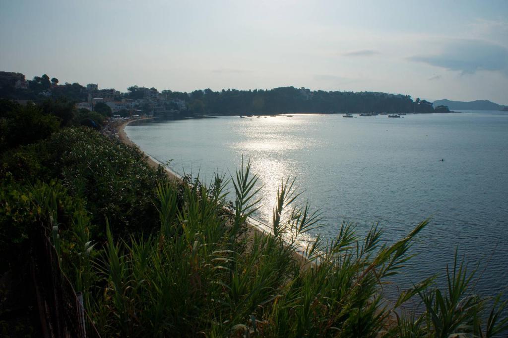 Aphrodite Skiathos Megali Ammos  Esterno foto