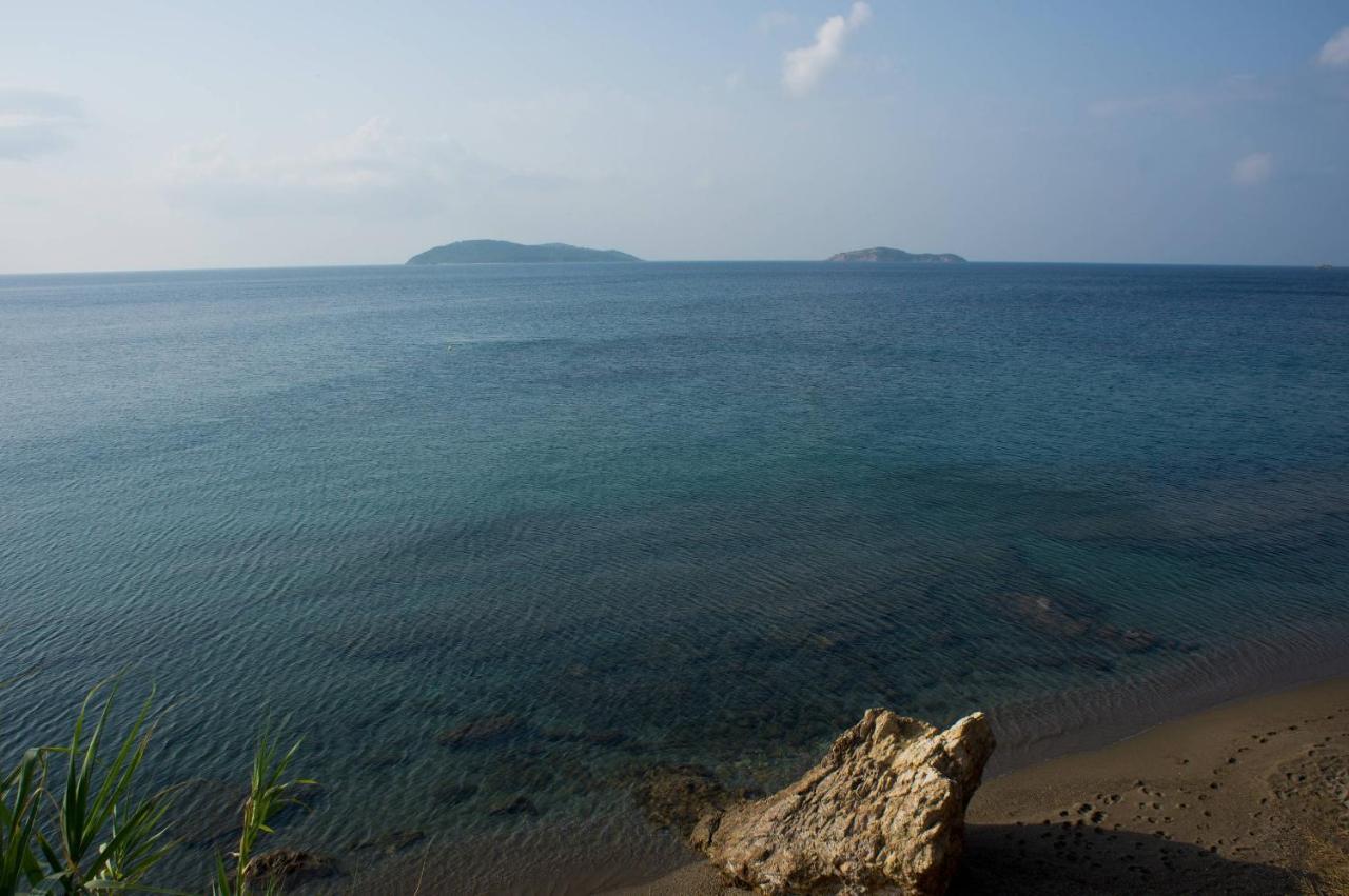 Aphrodite Skiathos Megali Ammos  Esterno foto